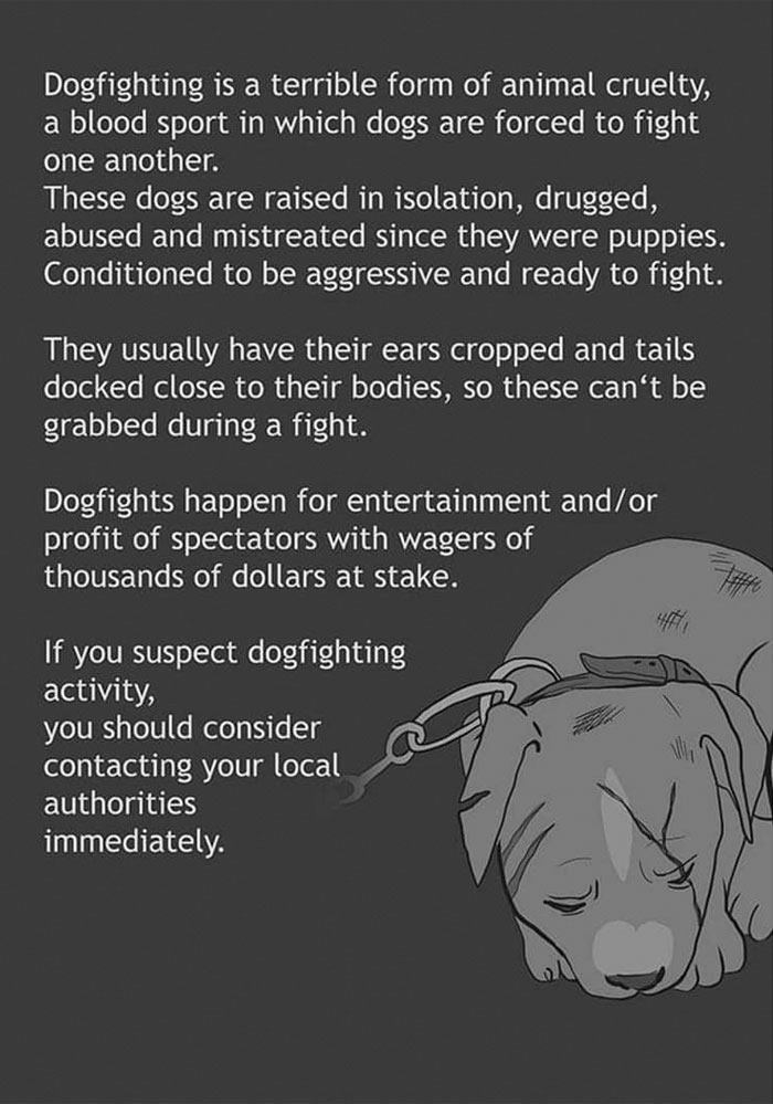 Artist Who Made People Cry With Her &lsquo;Good Boy&rsquo; Comics Just Released A New One About A Dog, Says It Was Painful To Draw