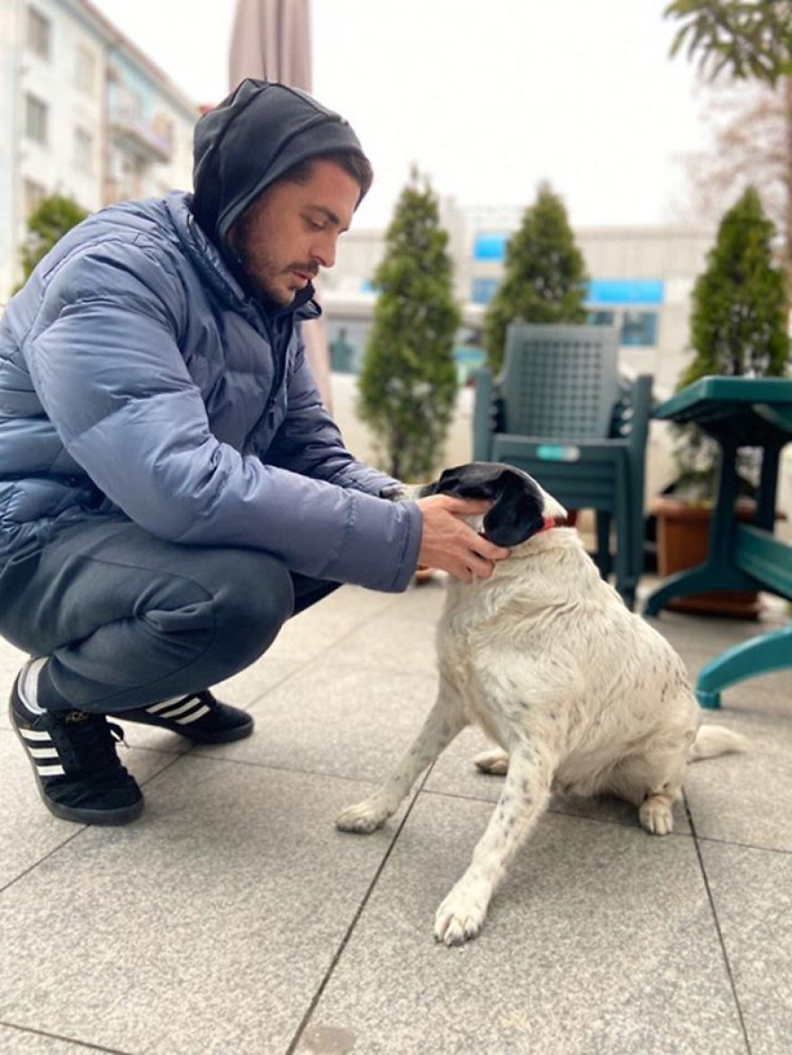 This Dog Comes Here Every Day And Helps Kindergarten Kids Safely Cross The Street This Dog Comes Here Every Day And Helps Kindergarten Kids Safely Cross The Street