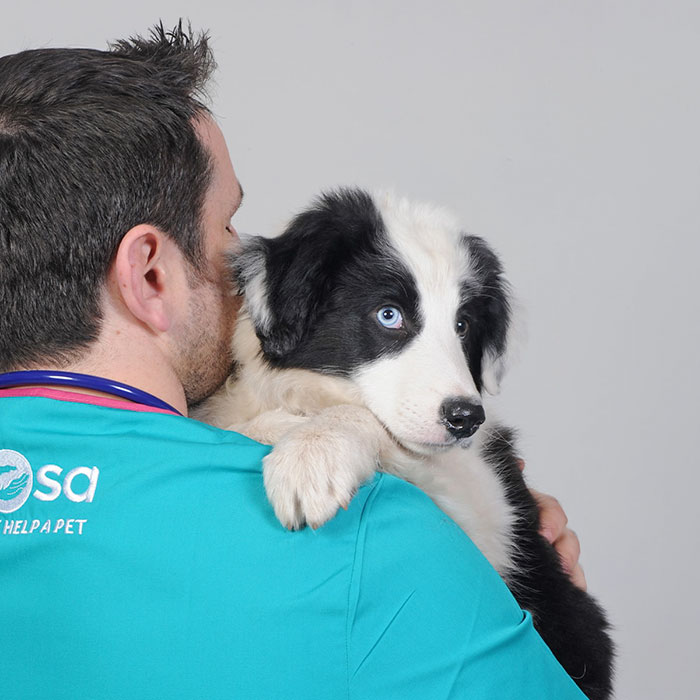 This 10-year-old Doggy Named Bonnie Attempted To Lick A Can Of Tuna And Ended Up In The ER