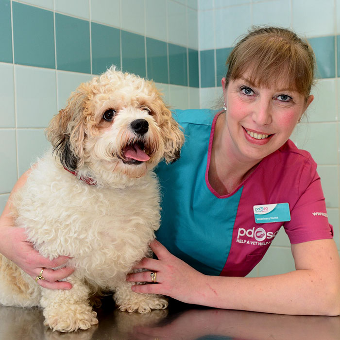 This 10-year-old Doggy Named Bonnie Attempted To Lick A Can Of Tuna And Ended Up In The ER This 10-year-old Doggy Named Bonnie Attempted To Lick A Can Of Tuna And Ended Up In The ER