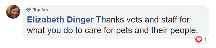 This 10-year-old Doggy Named Bonnie Attempted To Lick A Can Of Tuna And Ended Up In The ER