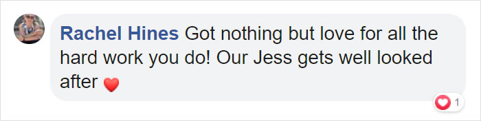 This 10-year-old Doggy Named Bonnie Attempted To Lick A Can Of Tuna And Ended Up In The ER