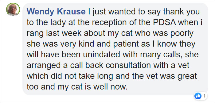 This 10-year-old Doggy Named Bonnie Attempted To Lick A Can Of Tuna And Ended Up In The ER