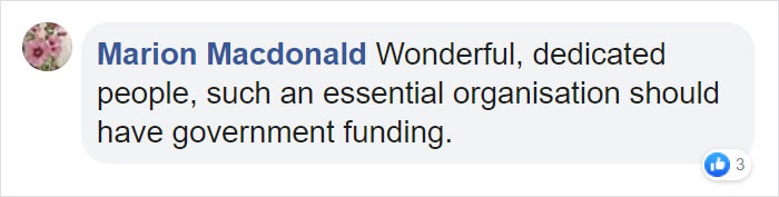 This 10-year-old Doggy Named Bonnie Attempted To Lick A Can Of Tuna And Ended Up In The ER