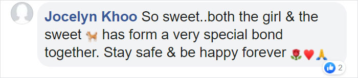 Wholesome Dog Takes His Little Owner To And From The School Bus Every Day Wholesome Dog Takes His Little Owner To And From The School Bus Every Day