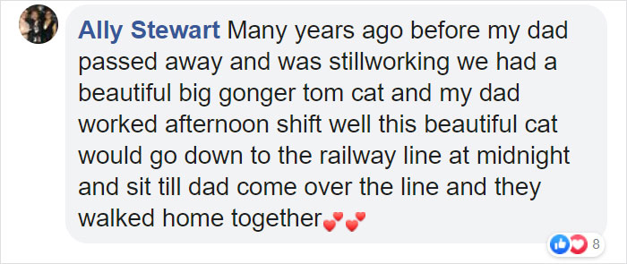 Wholesome Dog Takes His Little Owner To And From The School Bus Every Day Wholesome Dog Takes His Little Owner To And From The School Bus Every Day