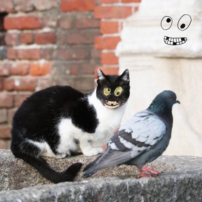 Drawings-Real-Life-Things-I-Have-Drawn