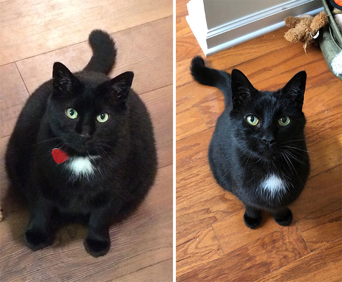 Chunky To Hunky. Down 7 Pounds Since Coming Home