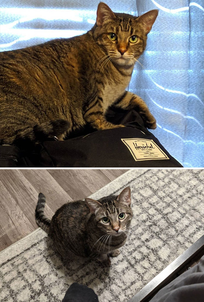 ~1 Year Of Progress For Rey