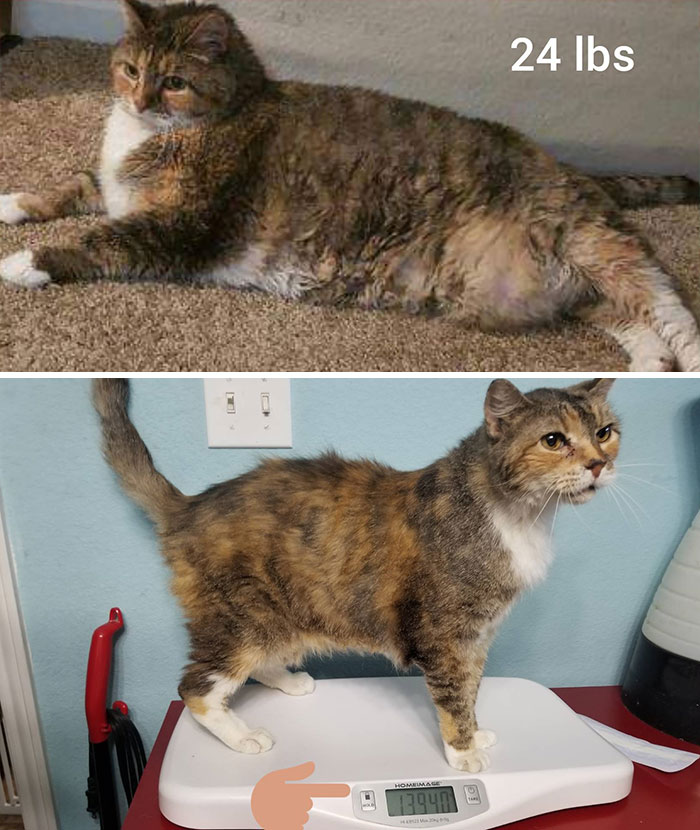 Before And After - Slow Churn To Slim Fast