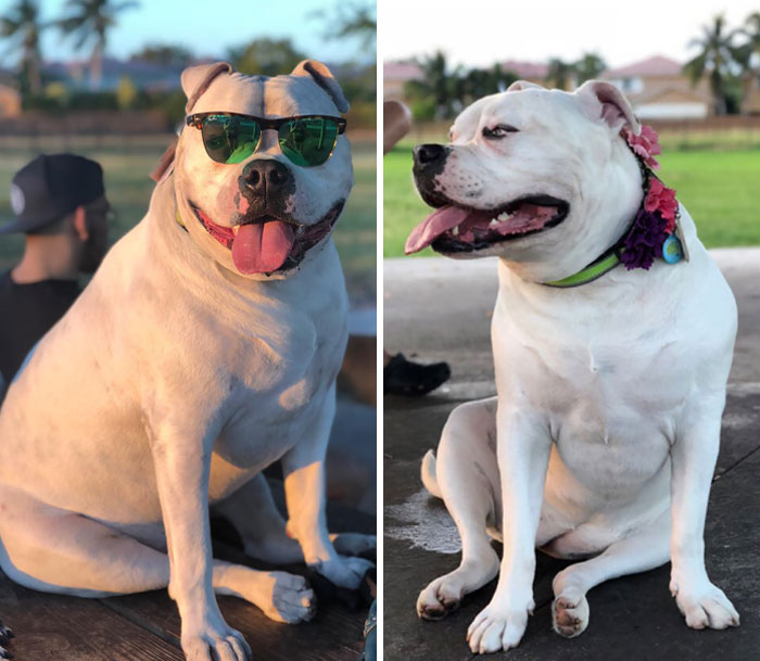 Princess Leia Lost 8 Lbs On 2 Months