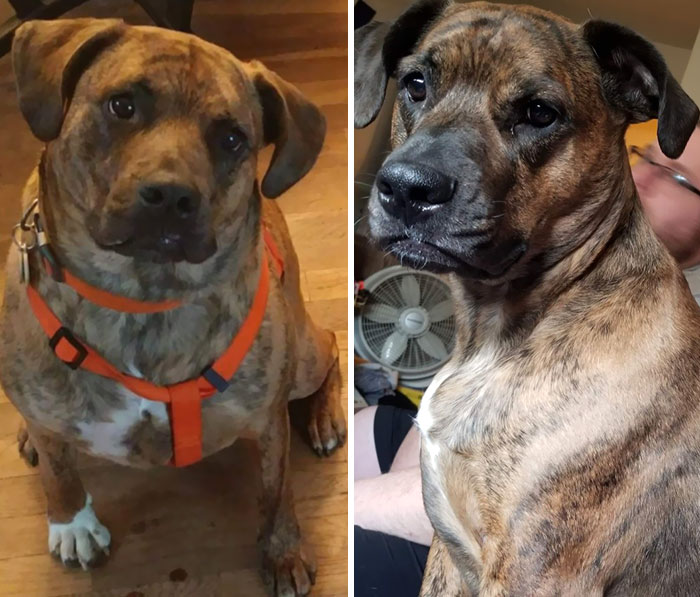 40.2 Pounds Officially Down! What's His Weight Loss Secret? Thyroid Medication, Good Food, And A Mama Who Absolutely Refused To Give Up On Him