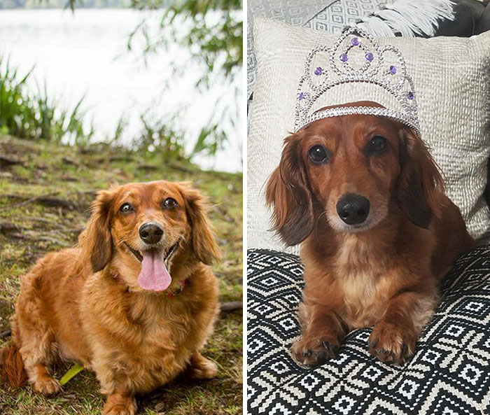 After A Long Year My Baby Hit Her Target Weight