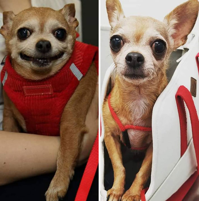 When Hard Work Pays Off. 13 Lbs Down To 6 Lbs, This Little Girl Shows Will Power And Determination To Lose The Weight