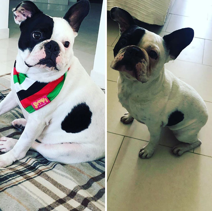 Over A Year Ago I Was Phat