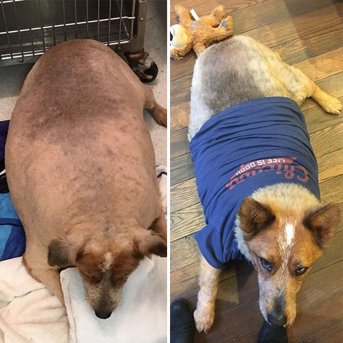 Look Who’s Getting Slim. From 116 Lbs To 107.7 Lbs