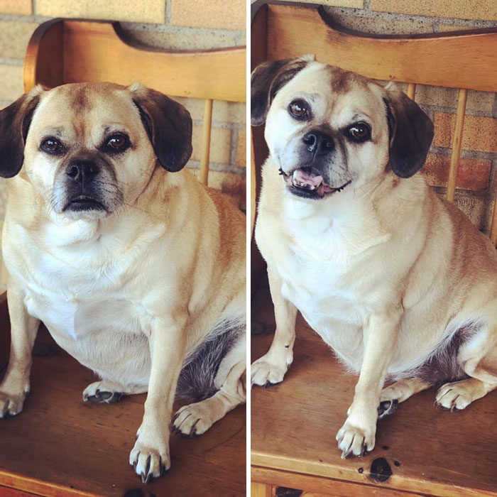 First Picture Is From May 2018 & The Second Is From Today. We’ve Been Trying To Get Weight Off Of Her