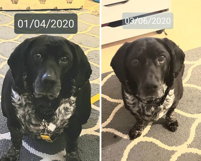 "Check Out How Slim I Look"