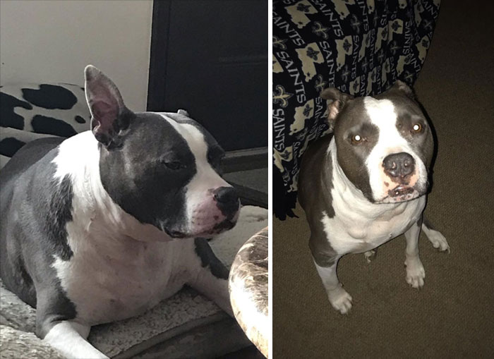 This Guy. He’s Done So Well On His Weight Loss