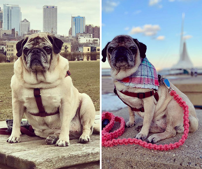 "3 Lbs Down And My Beach Bod Is Ready"