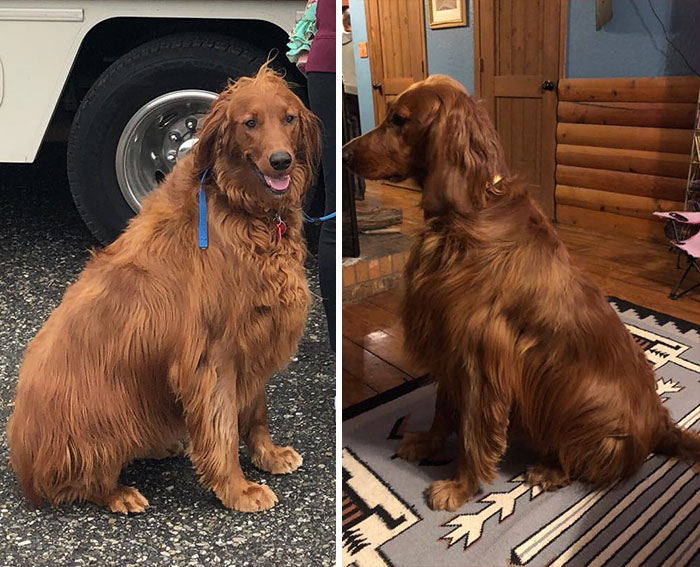 New Mexico Has Agreed With Ginny. I Didn’t Realize How Fat She Was