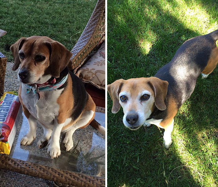Pic On The Left He Is 9 And On The Right Is About A Month Before His 16th Birthday
