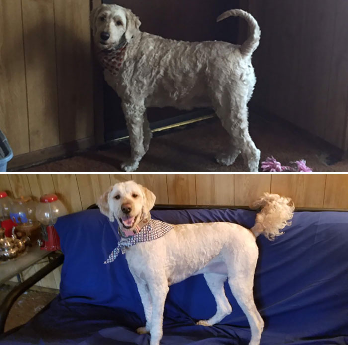 Fozzy After Many Months Of Hard Work. She's Now Been Sustaining Her Weight For A Year