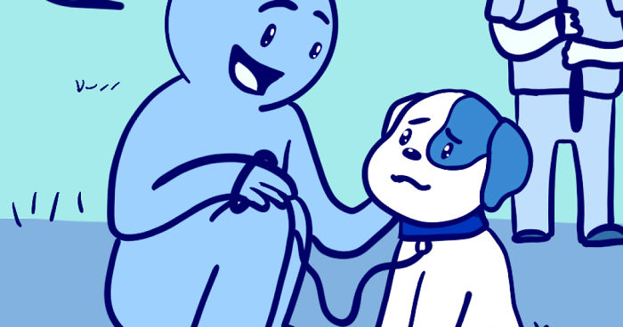 My Dog’s Knee Surgery—Life In Blue