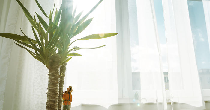 Our 10 Imaginative Photos Explore What It Would Be Like To Travel Inside Our Home