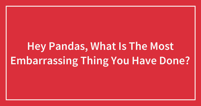 Hey Pandas, What Is The Most Embarrassing Thing You Have Done? (Ended)