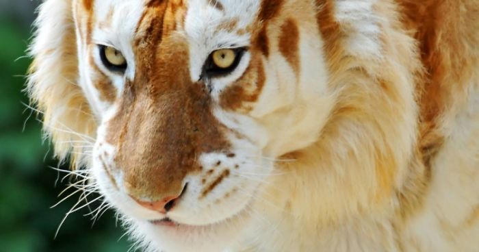 The Weird And Wonderful Our Universe Has To Offer