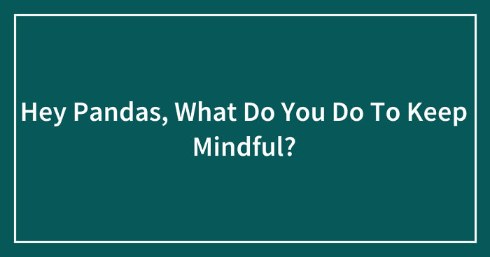 Hey Pandas, What Do You Do To Keep Mindful? (Closed)