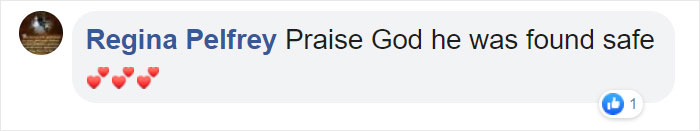 "We Don't Deserve Dogs": Missing Autistic Toddler Found In The Care Of His Family's Dogs "We Don't Deserve Dogs": Missing Autistic Toddler Found In The Care Of His Family's Dogs