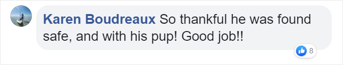 "We Don't Deserve Dogs": Missing Autistic Toddler Found In The Care Of His Family's Dogs
