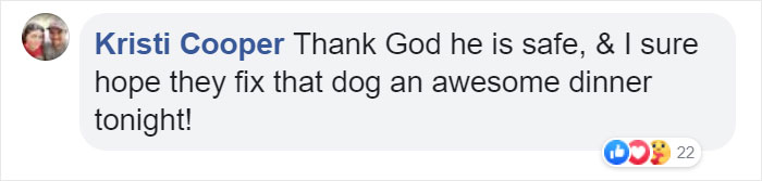 "We Don't Deserve Dogs": Missing Autistic Toddler Found In The Care Of His Family's Dogs "We Don't Deserve Dogs": Missing Autistic Toddler Found In The Care Of His Family's Dogs