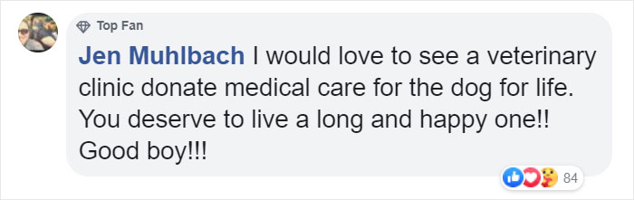 "We Don't Deserve Dogs": Missing Autistic Toddler Found In The Care Of His Family's Dogs "We Don't Deserve Dogs": Missing Autistic Toddler Found In The Care Of His Family's Dogs
