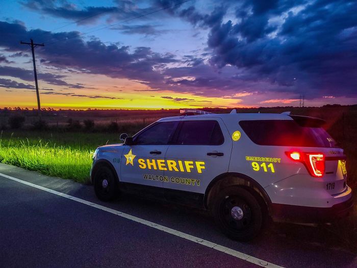 "We Don't Deserve Dogs": Missing Autistic Toddler Found In The Care Of His Family's Dogs "We Don't Deserve Dogs": Missing Autistic Toddler Found In The Care Of His Family's Dogs