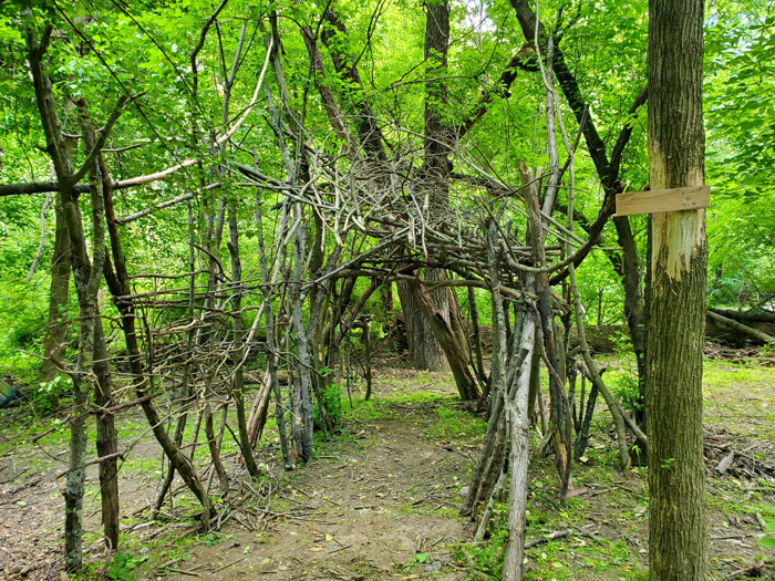 Nature Lovers Find Abandoned Fort In Forest That They Start Building Up, One Day Find A Mystery Box Inside And Decide To Open It