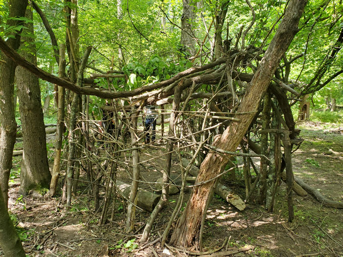 Nature Lovers Find Abandoned Fort In Forest That They Start Building Up, One Day Find A Mystery Box Inside And Decide To Open It