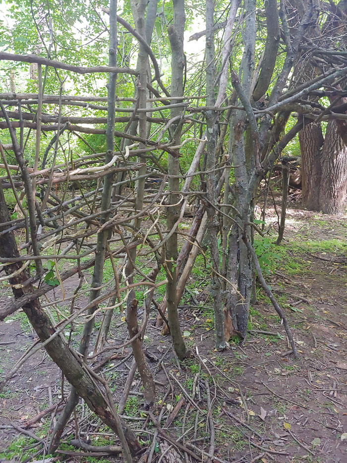 Nature Lovers Find Abandoned Fort In Forest That They Start Building Up, One Day Find A Mystery Box Inside And Decide To Open It