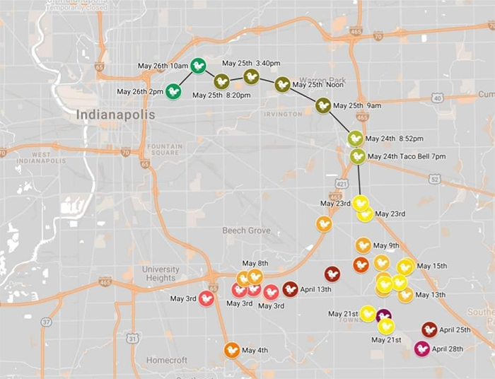 Meet Frank The Peacock - A Bird Who Traveled Over 600 Miles In Pursuit Of Love Meet Frank The Peacock - A Bird Who Traveled Over 600 Miles In Pursuit Of Love