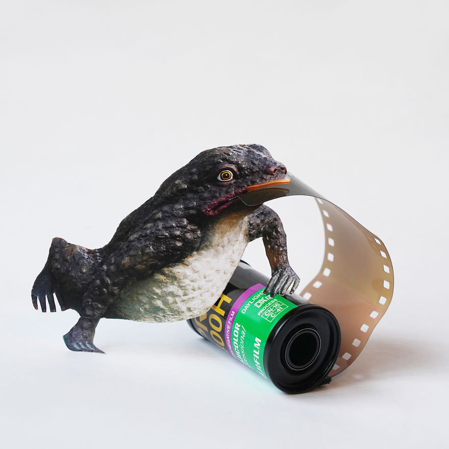 Fuji Film On The Tongue