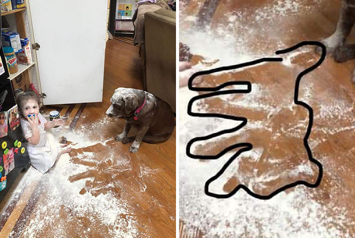 He Was Just Trying To Take A Nap