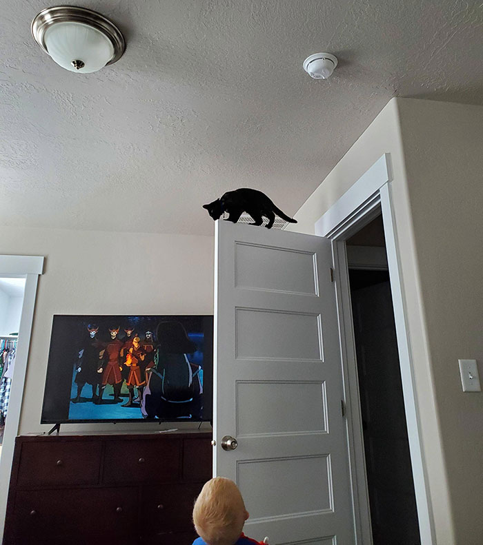 She Immediately Regretted This