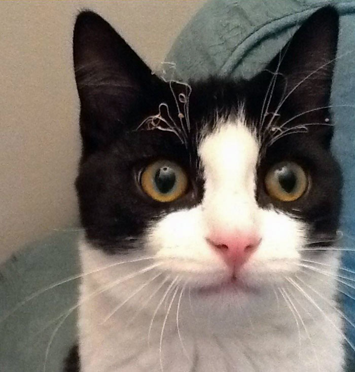 My Boy Decided To Investigate A Candle