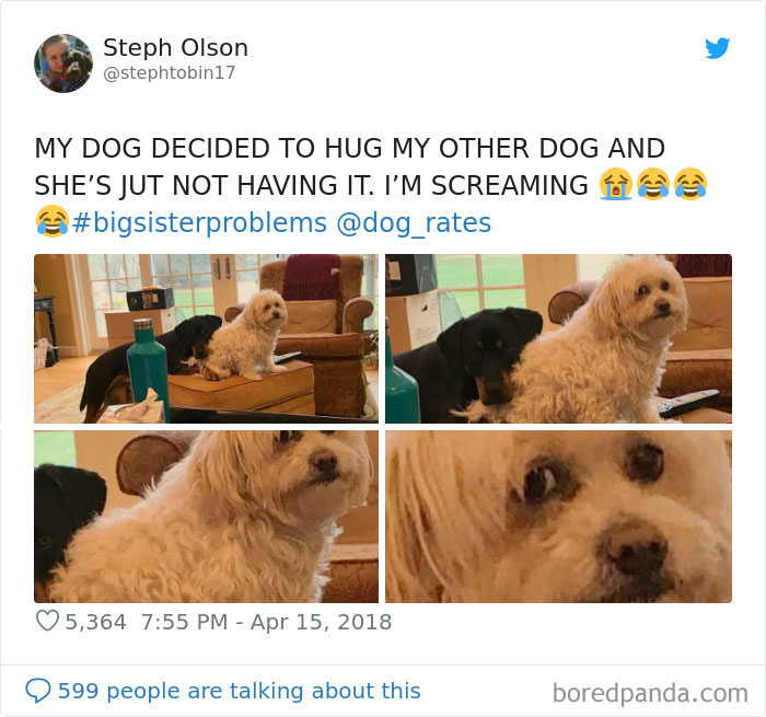 When You're Annoyed By Cuddles