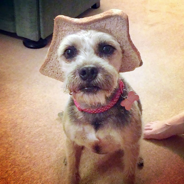 Tina Wearing Her Bread Crown