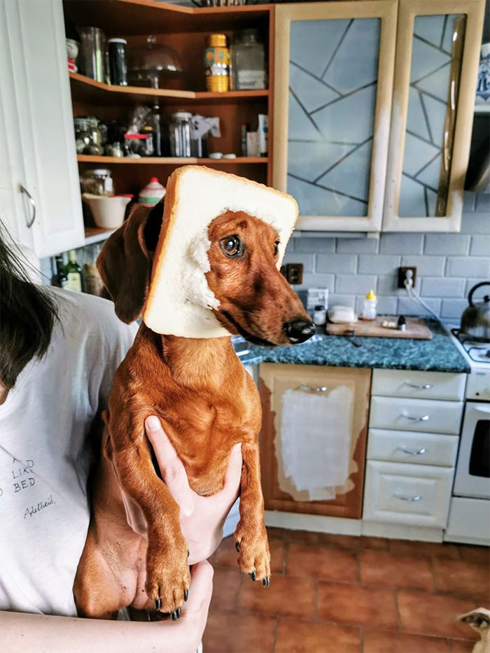 Our Sausage In Bread