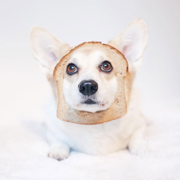 Whoever Did This, You're Toast