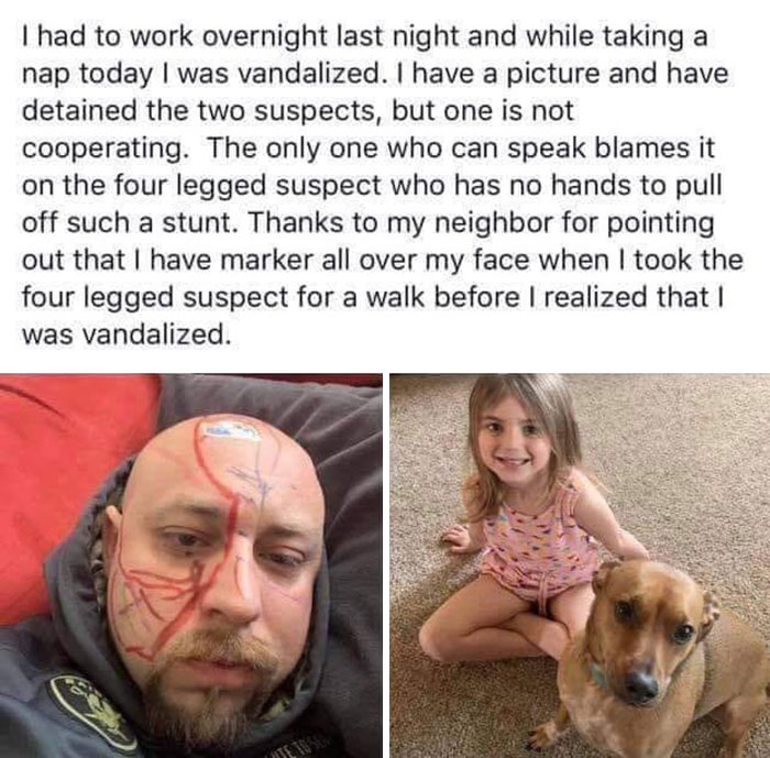 Blaming On A Doggo. Heckin Bamboozled